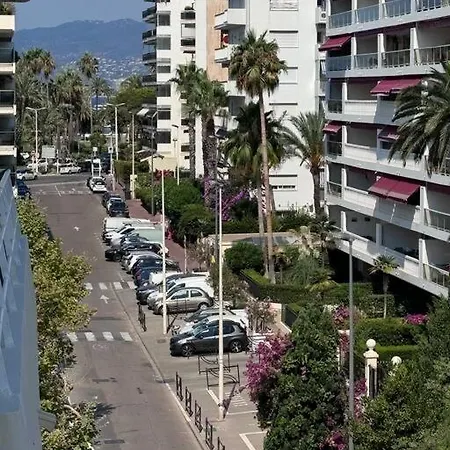 Palm - 2 Vue Lejlighed Cannes