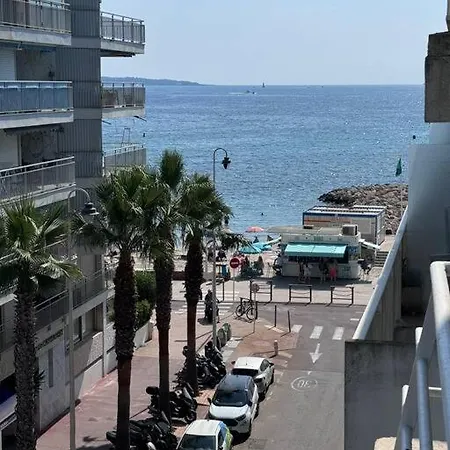 Palm - 2 Vue * 칸느