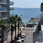 Palm - 2 Vue * كان